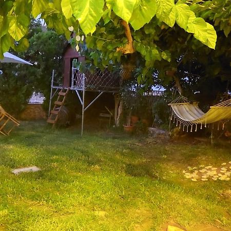 Diamant'S Place With Treehouse Garden Κουνουπιδιανά Εξωτερικό φωτογραφία