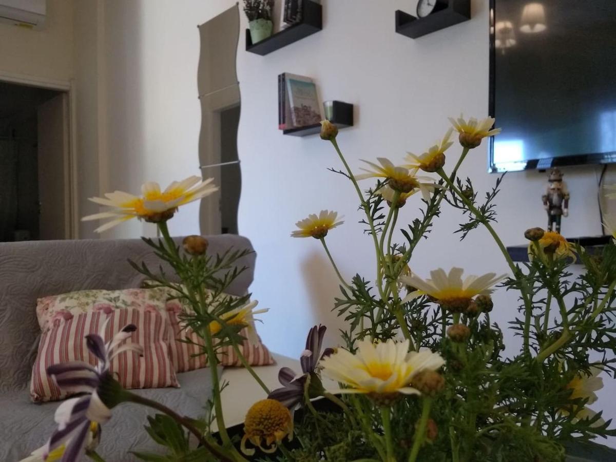 Diamant'S Place With Treehouse Garden Κουνουπιδιανά Εξωτερικό φωτογραφία