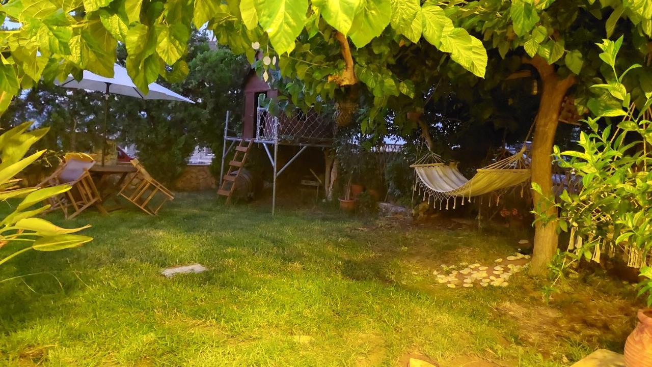 Diamant'S Place With Treehouse Garden Κουνουπιδιανά Εξωτερικό φωτογραφία