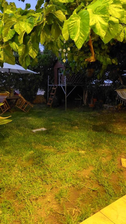 Diamant'S Place With Treehouse Garden Κουνουπιδιανά Εξωτερικό φωτογραφία