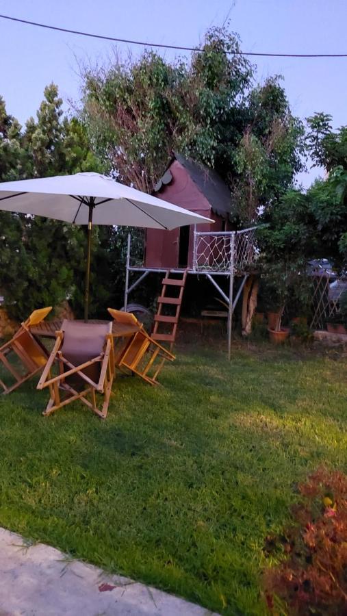 Diamant'S Place With Treehouse Garden Κουνουπιδιανά Εξωτερικό φωτογραφία